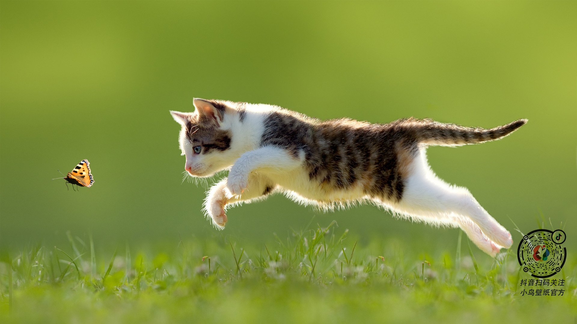 穿越重网，梅德韦杰夫美网淬火后，轻取联合杯的团队王座