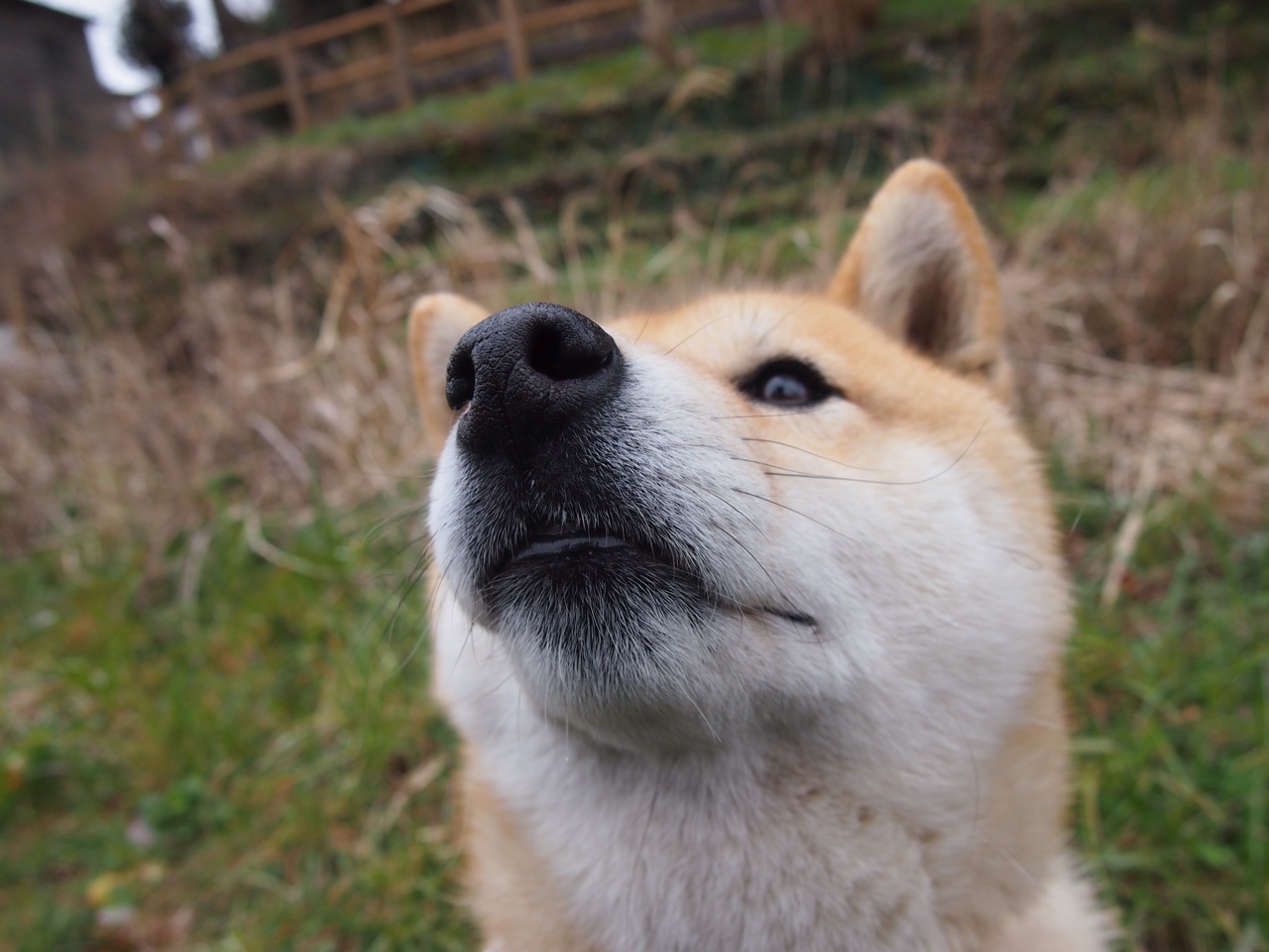 兵不血刃的背后,是一个名字扛起全队
