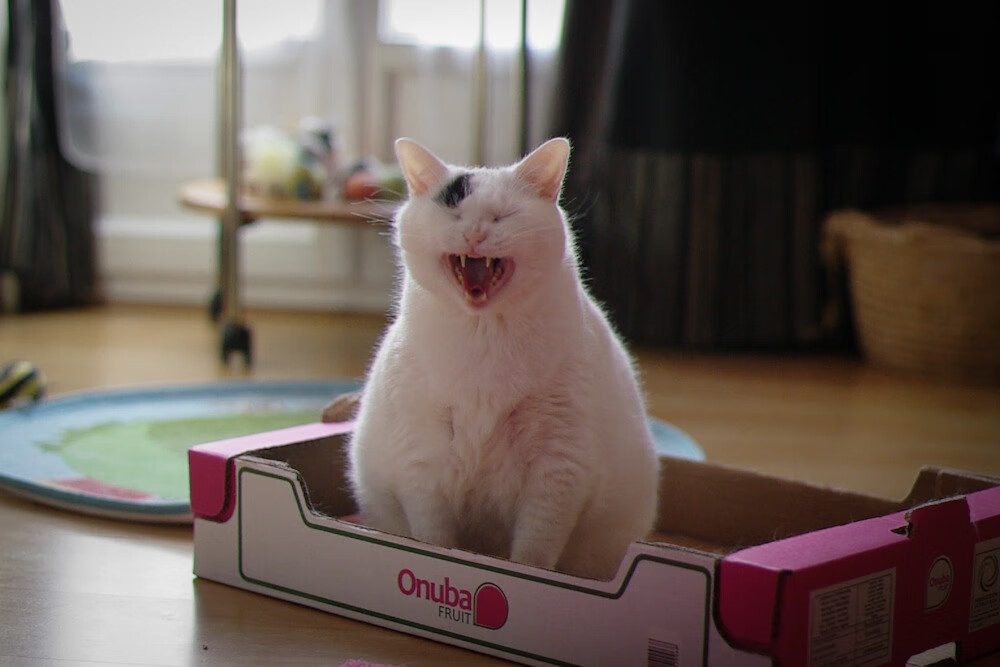 爱游戏官方入口-惊魂剧本！中国队绝境翻盘日本，郑思维跪地怒吼定乾坤