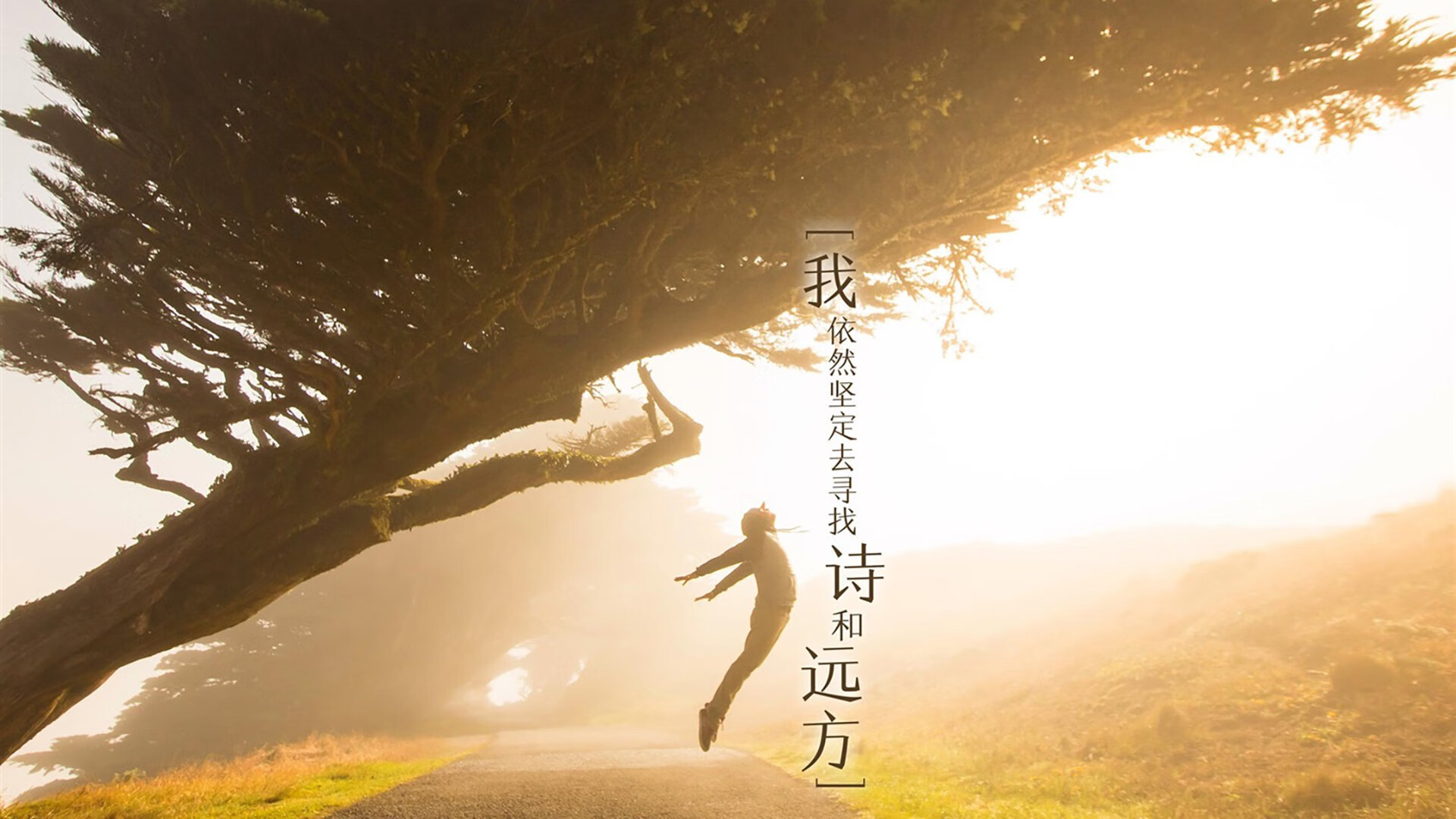 他是唯一的库里，今夜不属于失败者