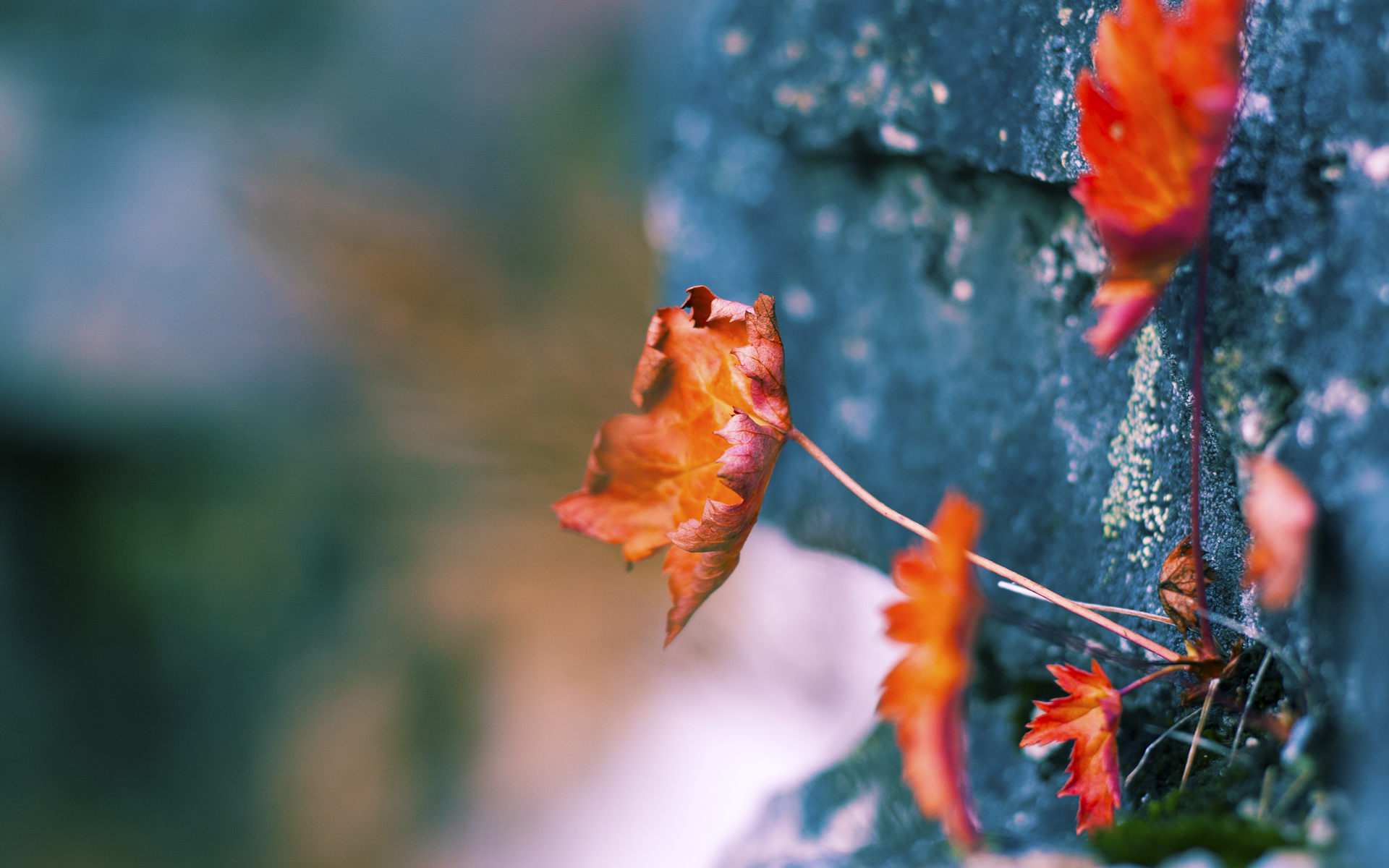 爱游戏入口-传奇之夜！巴尔韦德天神下凡荣膺全场最佳无争议，哥斯达黎加3-0完美战术碾压巴黎