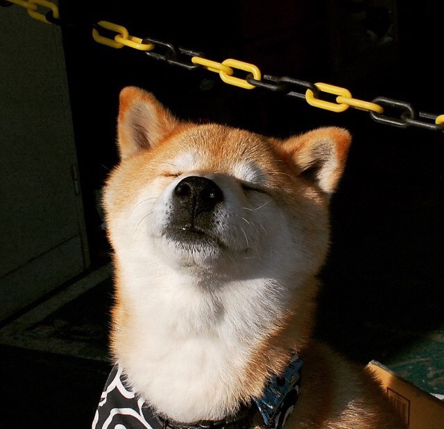 唯一的锁,当乔治在季后赛之夜让世界寂静