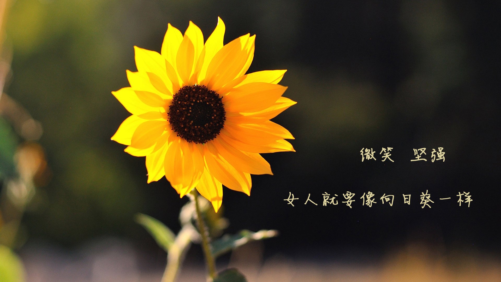 平行时空的交叉点,当班凯罗在欧冠半决赛之夜打出冠军级表现