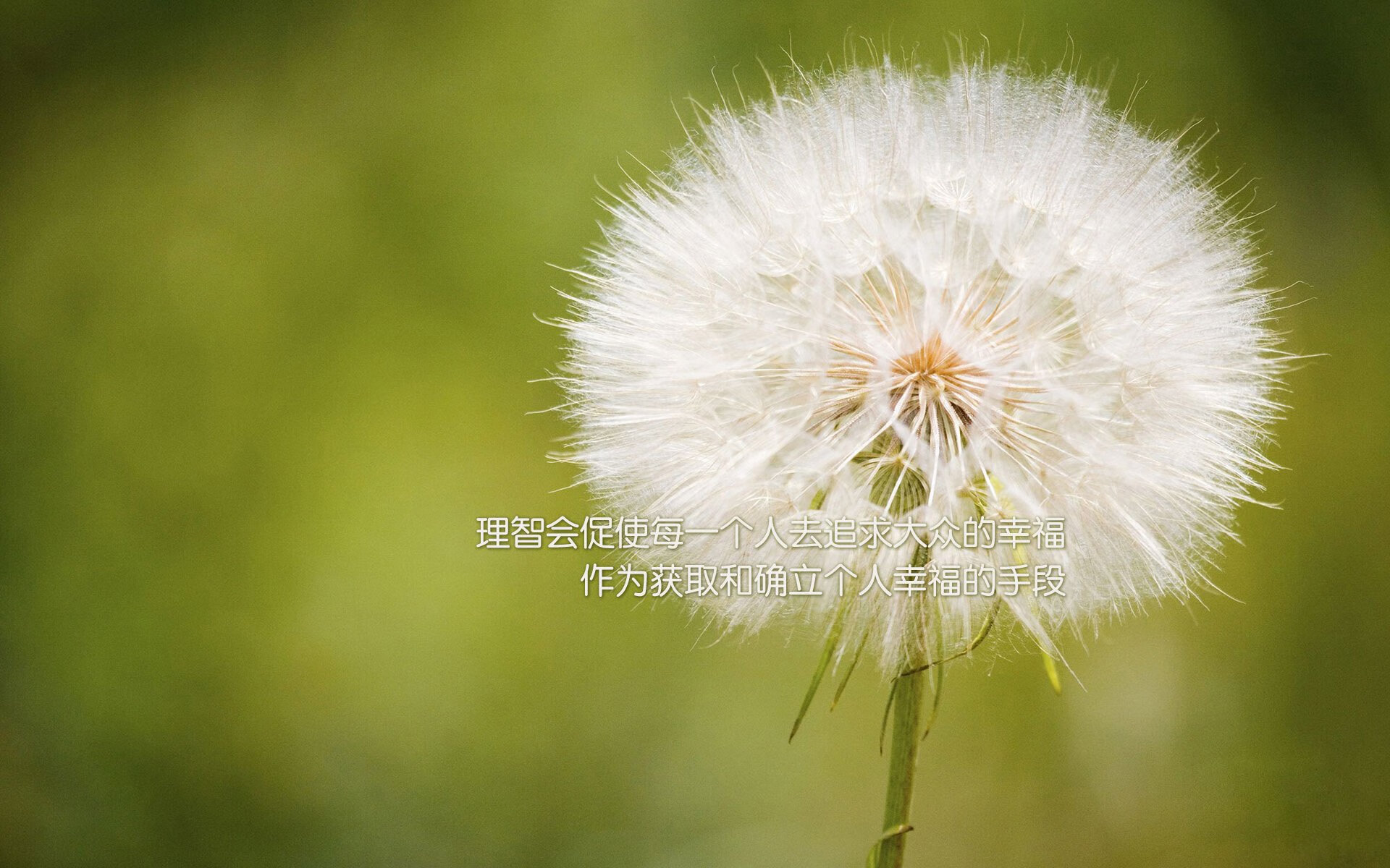 从卡尔德隆到北美之巅,格列兹曼的双重征服