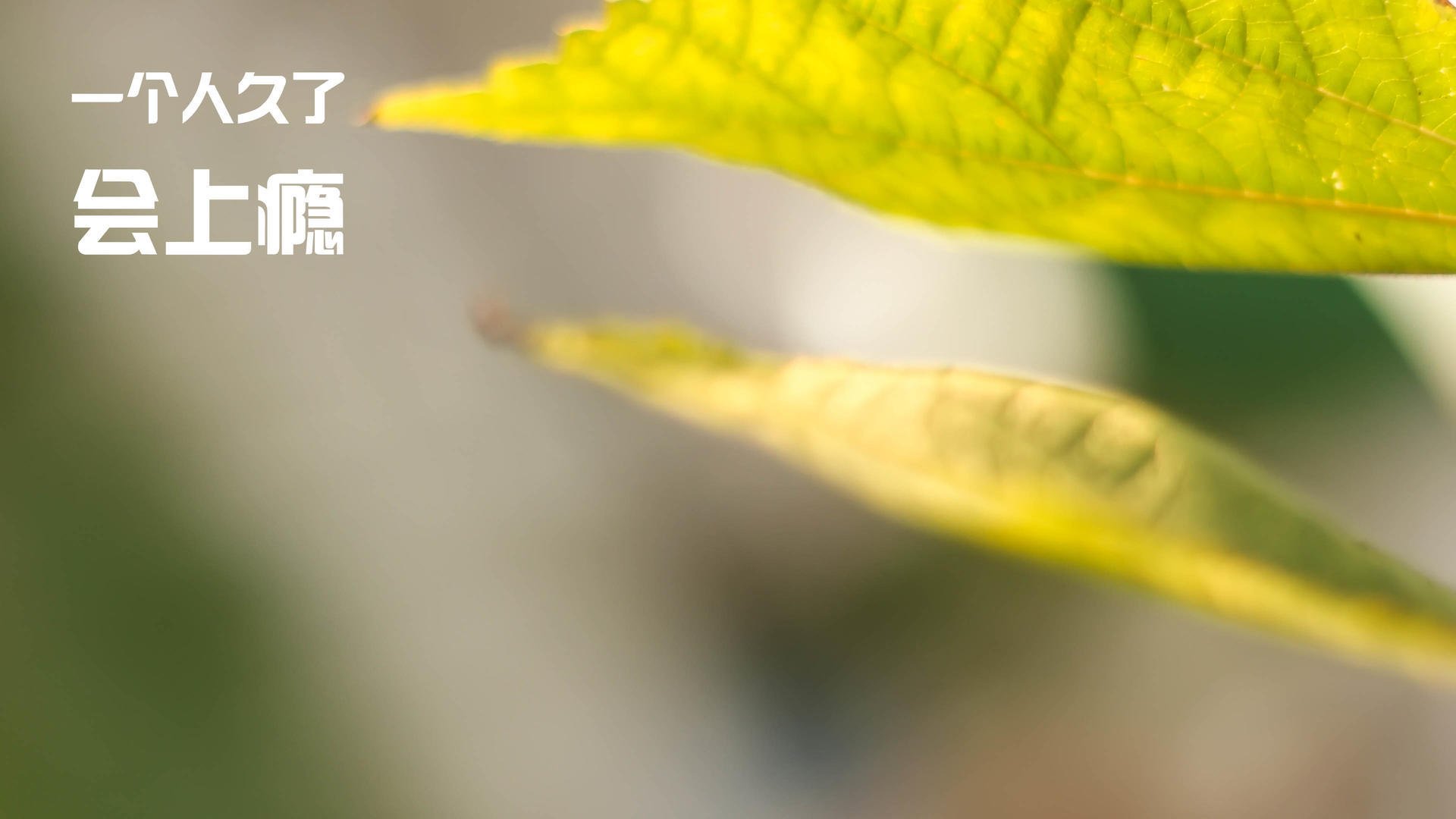 爱游戏在线-马克西扛起全队，马刺硬仗取胜热火的逆袭之夜