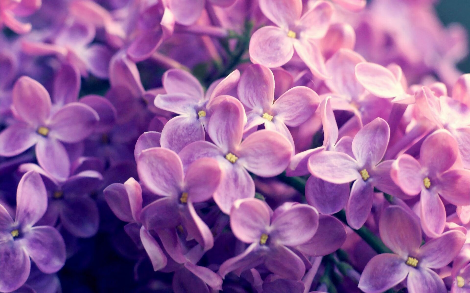 跨越南北的足球狂想，当莫德里奇掌控欧冠，安哥拉在非洲杯撕裂希腊神话