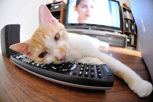 唯一性选择，改写历史的60米长传—巴斯托尼如何用一脚撕裂德国神话