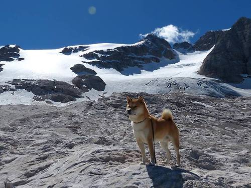 从逆转绝杀到末节封神，克瓦拉茨赫利亚如何用14分钟征服世界