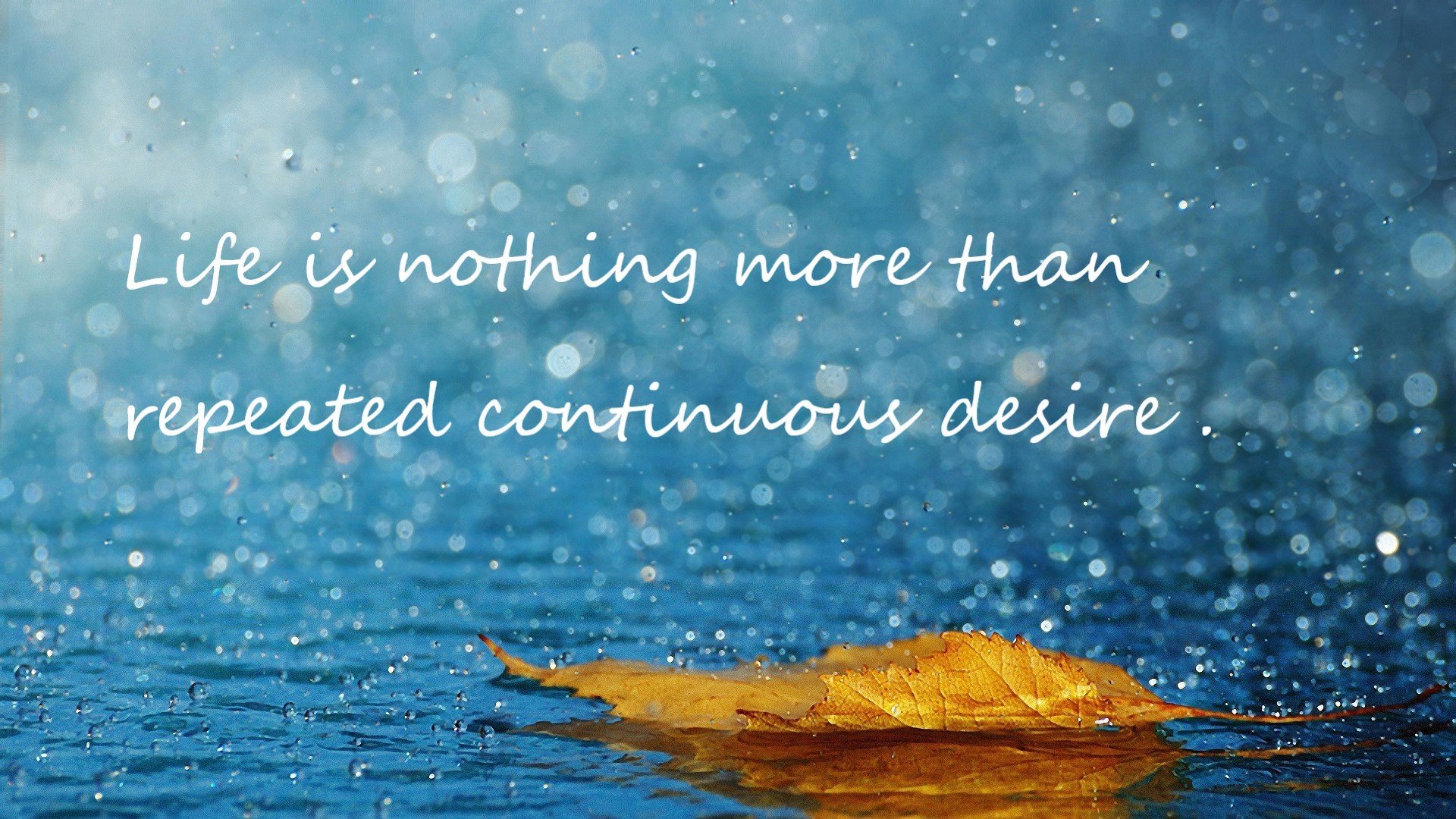 强行终结的宿命，福克斯爆发的夜晚与马刺的沉默宣言