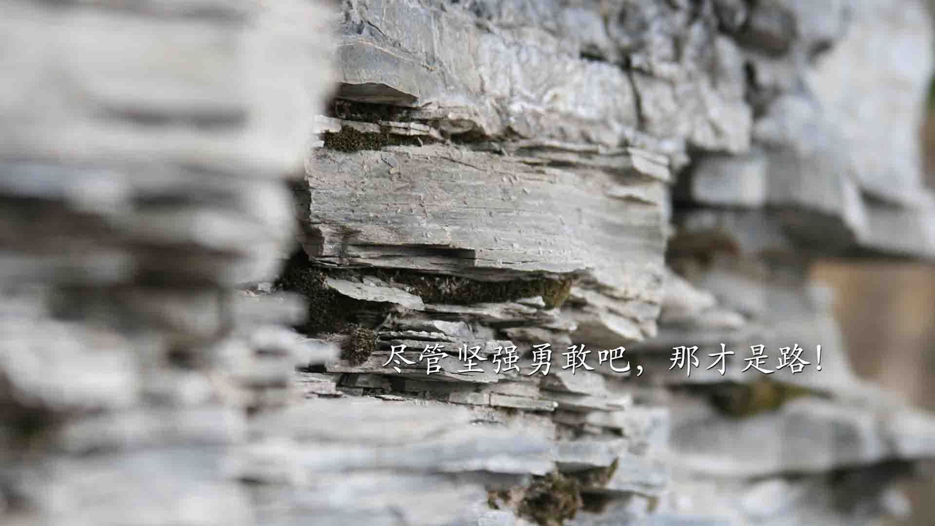 爱游戏tv-剑指2026，伊朗铁骑与星条旗的绿茵对决，B费点亮的唯一性时刻