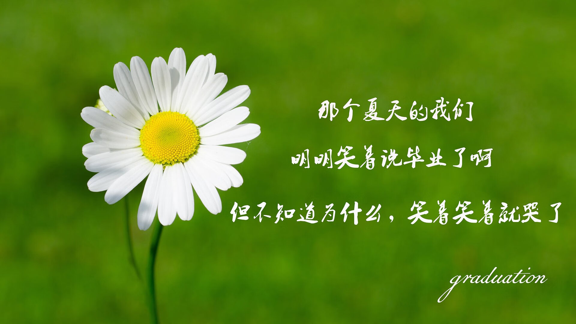 爱游戏官方-独领风骚，世界杯头名之争，捷克完胜保加利亚，奥斯梅恩的孤星闪耀