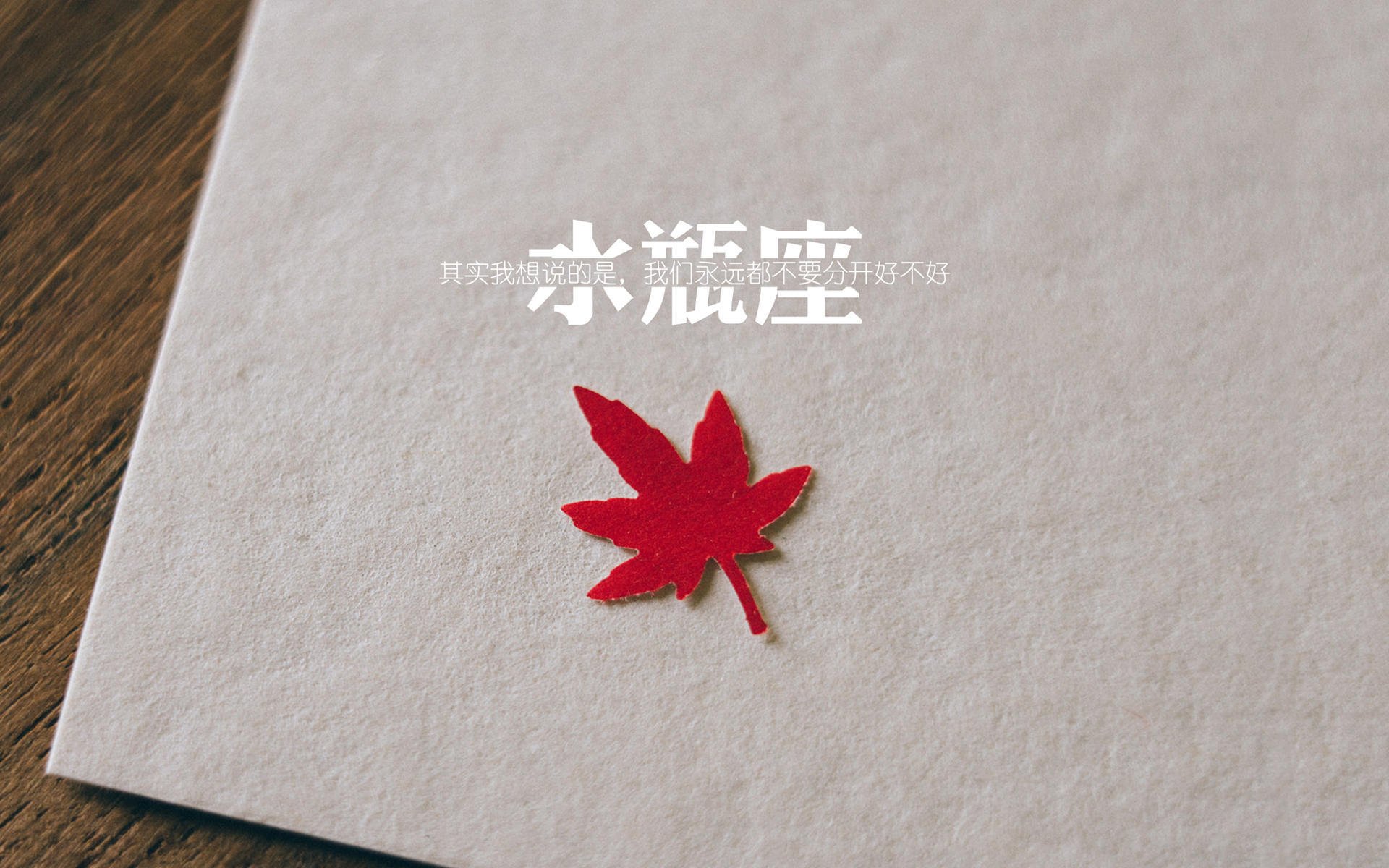 钢铁防线与灵光一现,2026世界杯C组焦点战,德国如何以唯一的方式击碎喀麦隆—福登主宰之夜,日耳曼战车驶入新纪元