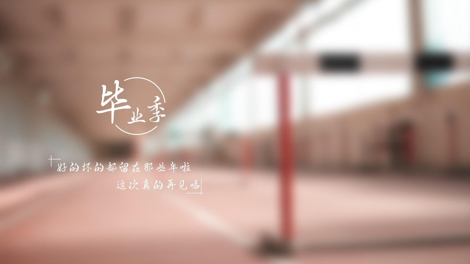 波斯铁骑的绝唱,2026世界杯,伊朗如何在小组赛关键战中用钢铁意志刺穿高卢雄鸡
