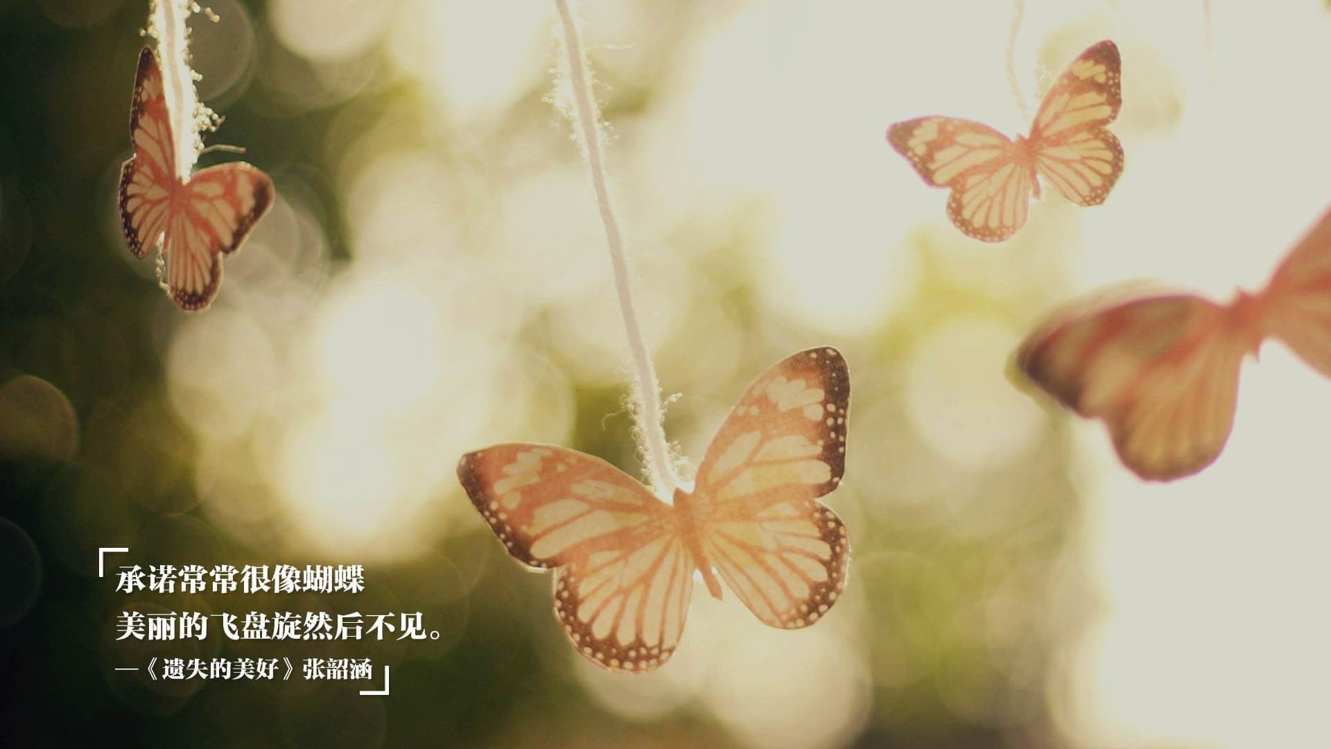 孤星耀世,当罗马尼亚的铁骑踏碎南美幻梦,奥斯梅恩在2026世界杯A组刻下唯一神迹